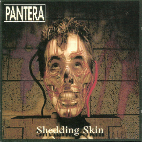 Pantera : Shedding Skin
